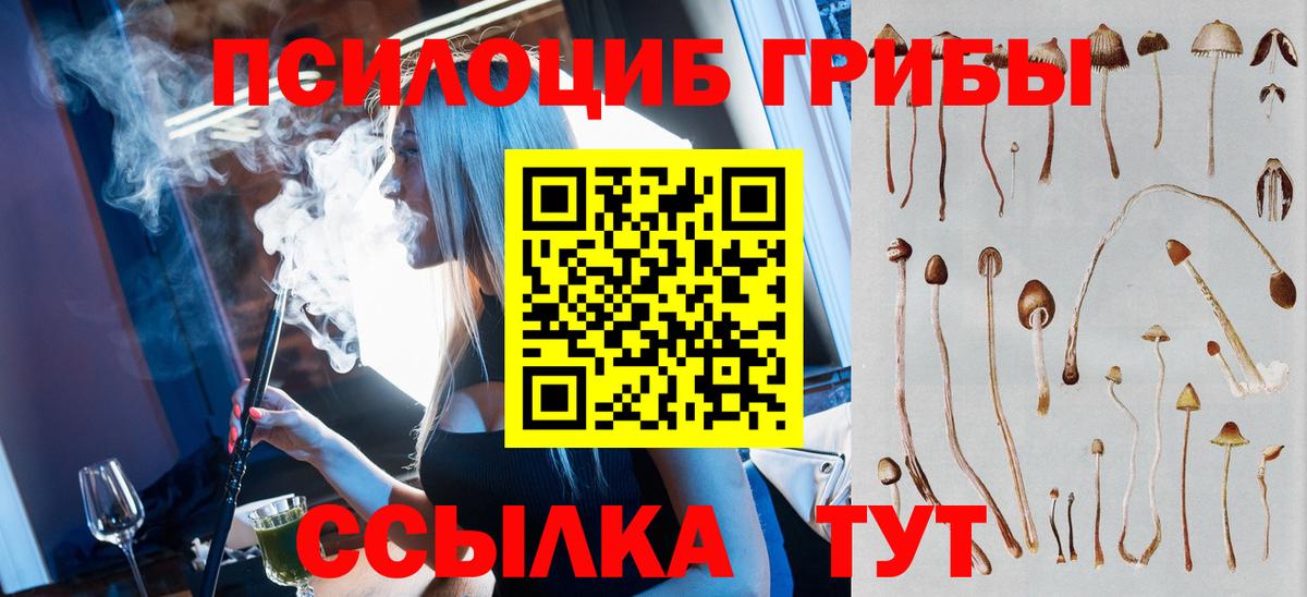 Михайловка  Псилоцибиновые грибы ЛСД  Вход с VPN  Галлюциногенные грибы прущие грибы 